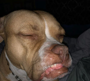 Meet your Posher, Gracë